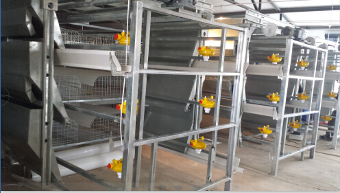 華羅2014年捷報(bào)連連，年底再簽大單