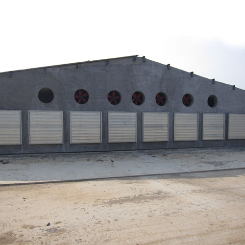 50風(fēng)機(jī)11