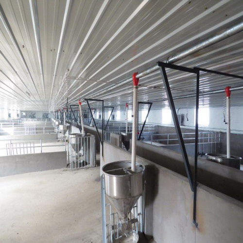 豬舍塞盤供料系統(tǒng)