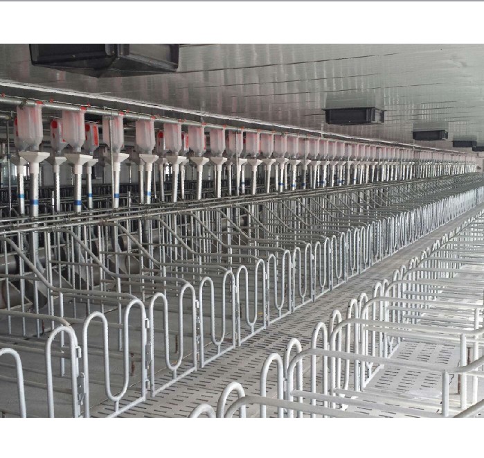 豬舍塞盤自動供料